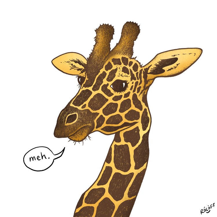 Unimpressed giraffe illustration with word bubble that says meh by Sheri Roloff